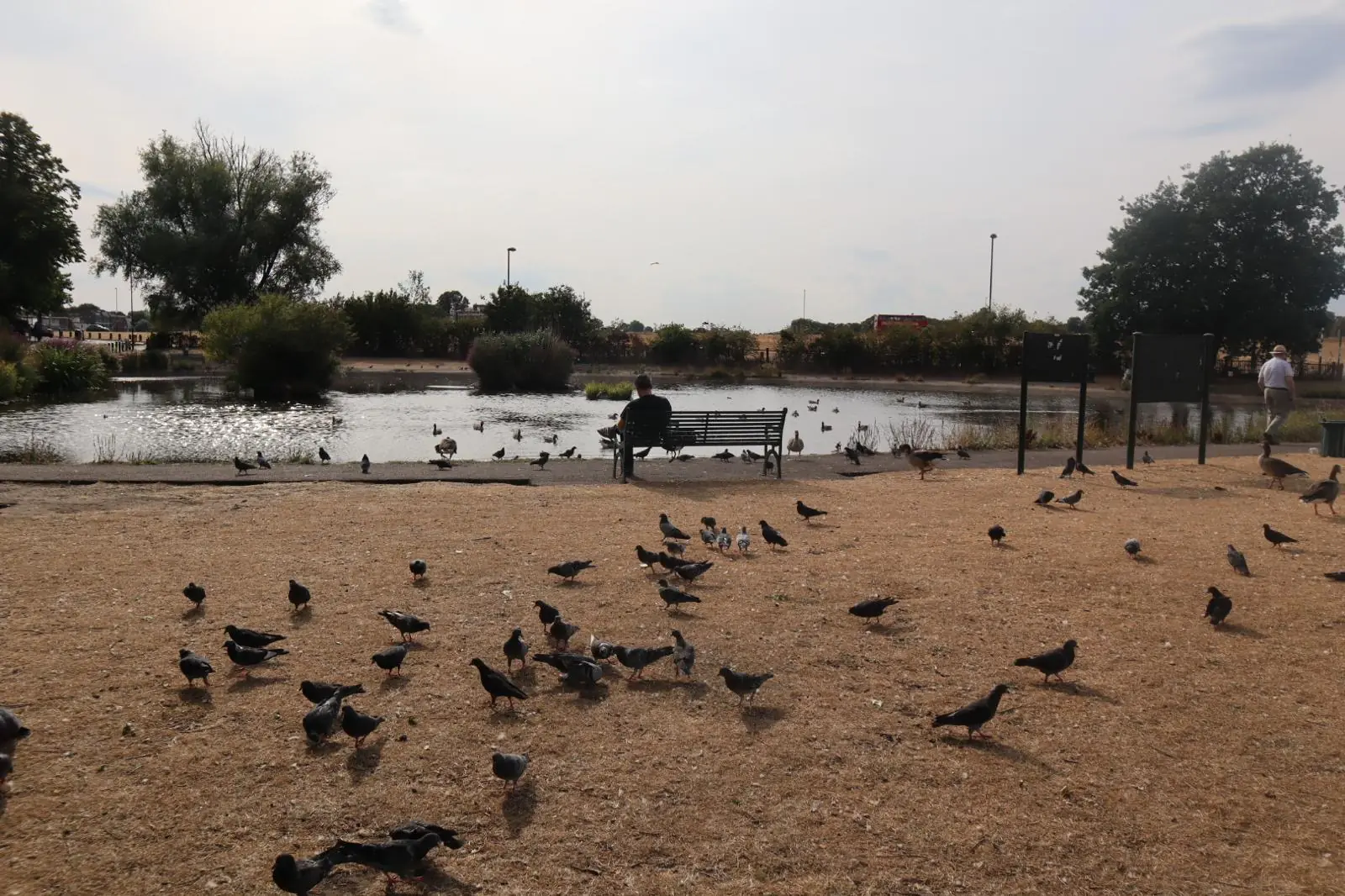 Pond and open green space on Blackheath Common