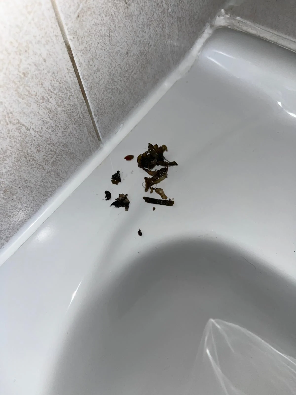 Debris removed from a blocked basin waste