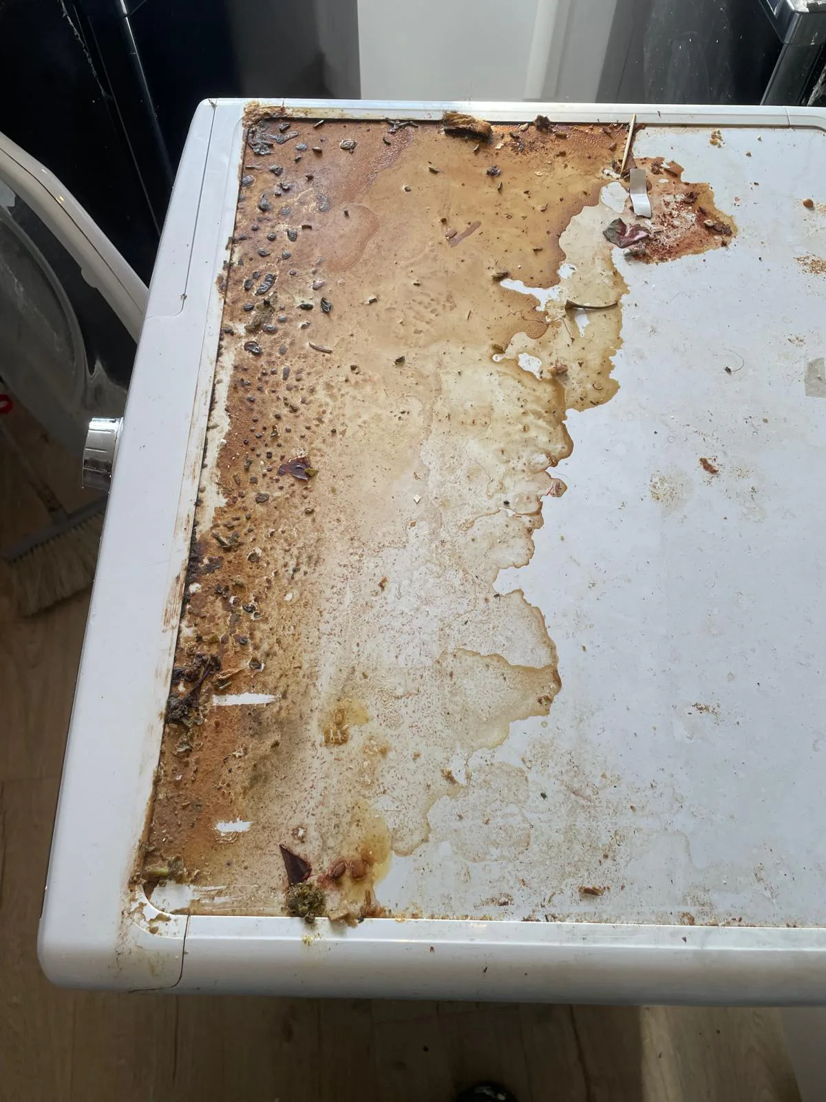 Washing Machine Dirt & Debris Before