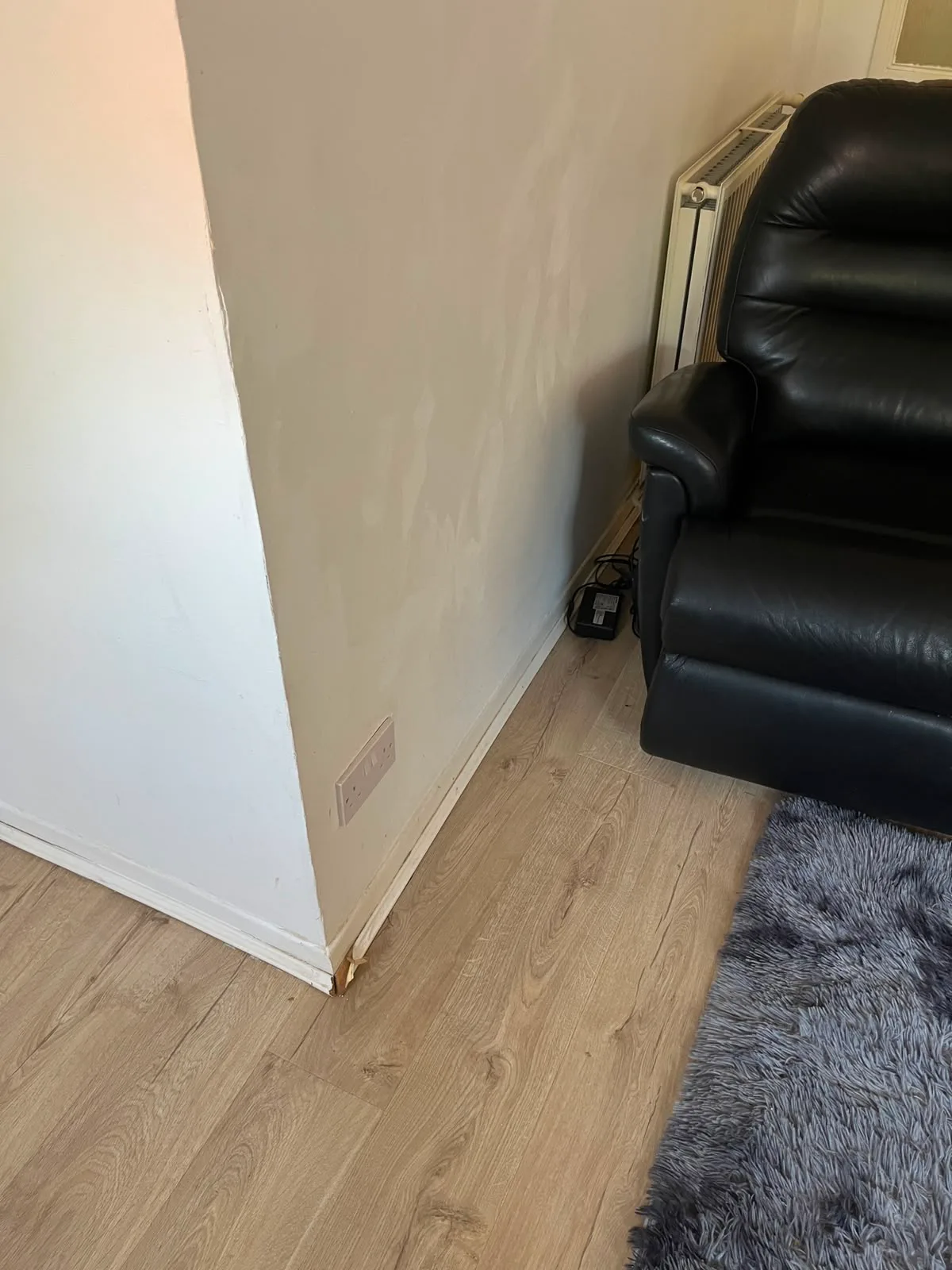 Living Room Main Trims Damaged